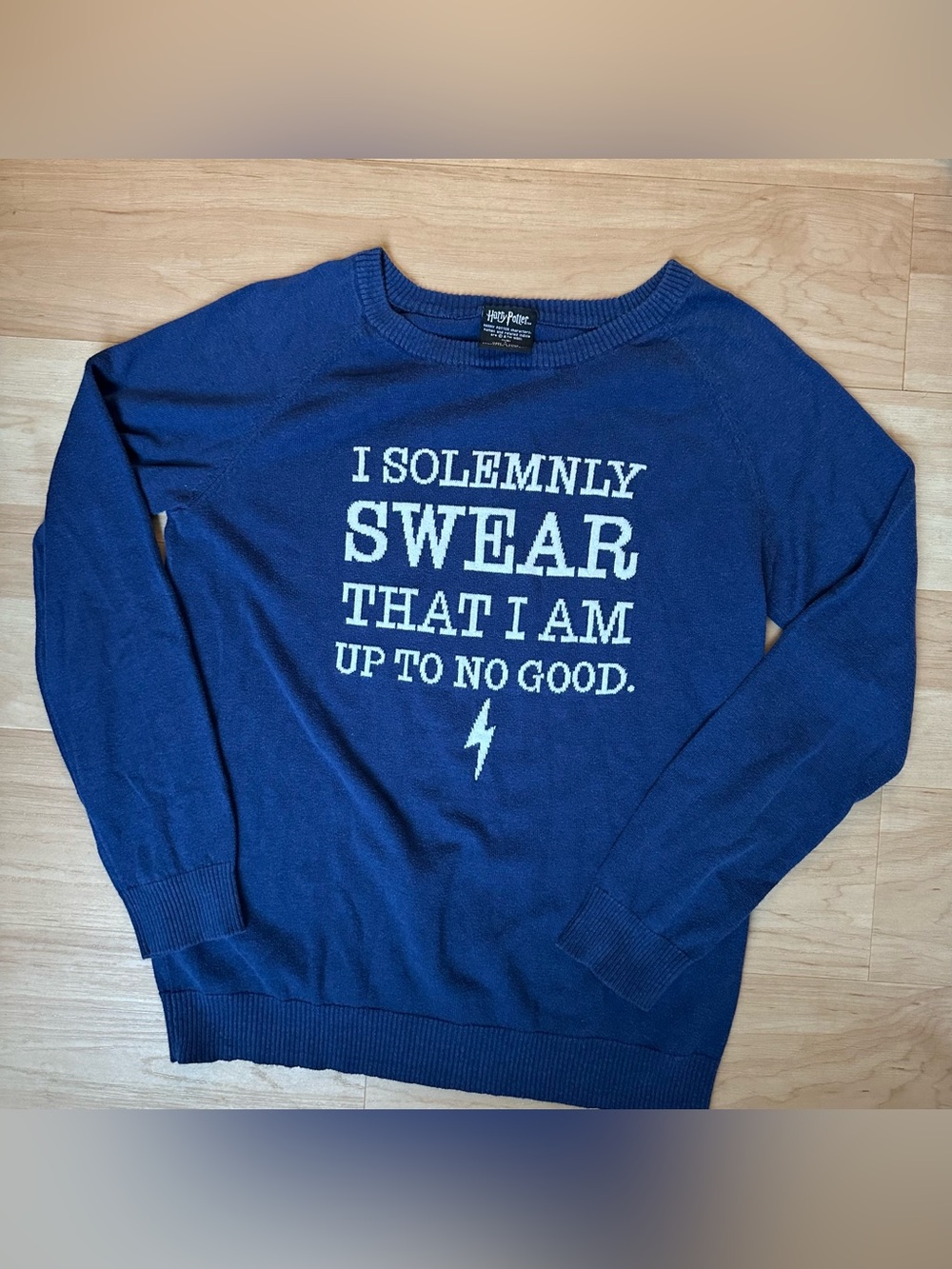 Harry Potter "I Solemnly Swear" Blue Knit Sweater - Size L